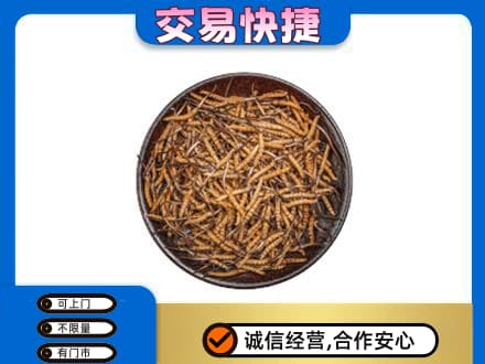 达川区回收散虫草